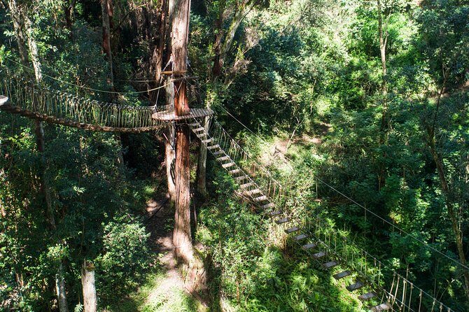 Big Island Kohala Canopy Zipline Adventure - Meeting Point at 55-515 Hawi Rd: Check-In, Shoes, and What to Wear