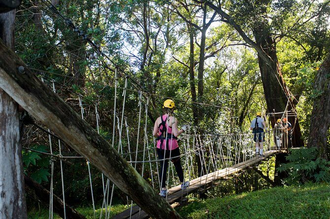 Big Island Kohala Canopy Zipline Adventure - Price and Value on Big Island: Is $256.54 a Good Deal?