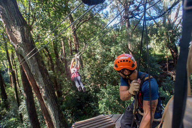 Big Island Kohala Canopy Zipline Adventure - Should You Book Kohala Zipline? My Practical Verdict