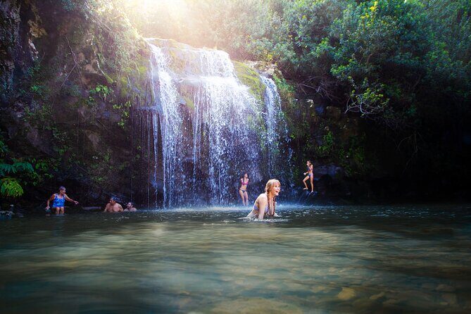 Big Island Kohala Zip and Dip Tour from Kona - Lunch with Kohala coastline views: why the included picnic matters