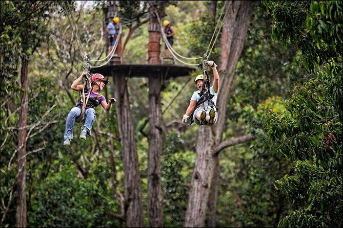 Big Island Kohala Zip and Dip Tour from Kona - What’s included (and what you should still bring): rain gear, shoes, and swim basics