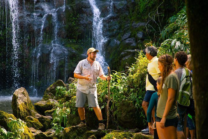 Big Island Kohala Zip and Dip Tour from Kona - Price and value: what $361.26 buys you on a 9-hour Kohala day