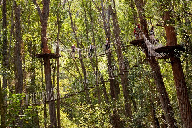Big Island Kohala Zip and Dip Tour from Kona - Should you book Kohala Zip and Dip from Kona?
