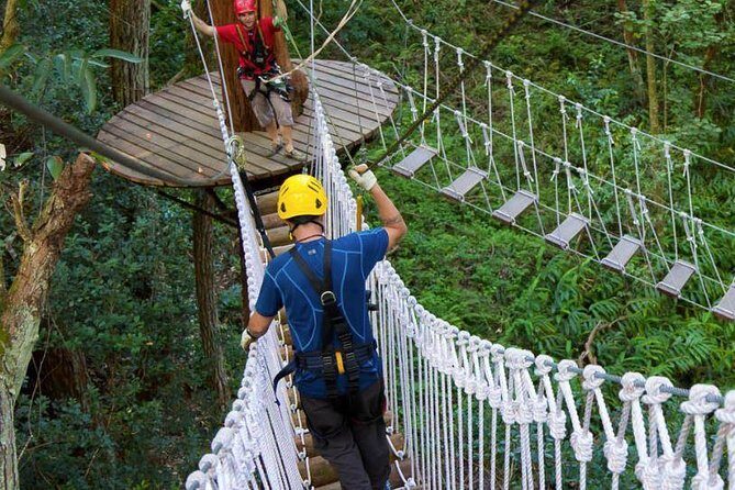 Big Island Kohala Zip and Dip Tour from Kona - “Zip & Dip” waterfalls: swimming under a mountain-stream fed waterfall