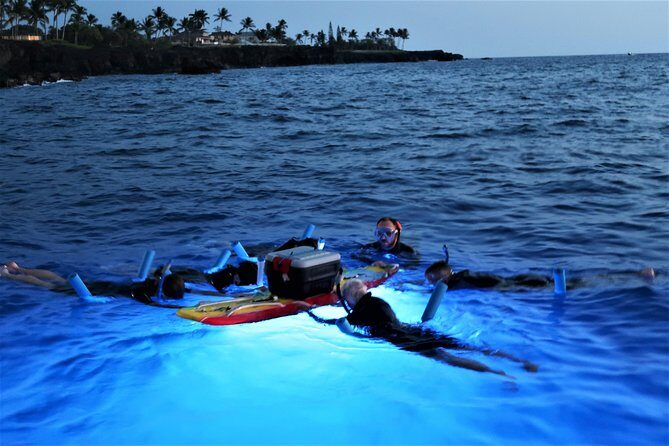 Big Island: Kona Manta Ray Snorkel Tour in Keauhou Harbor - What the In-Water Snorkeling Feels Like