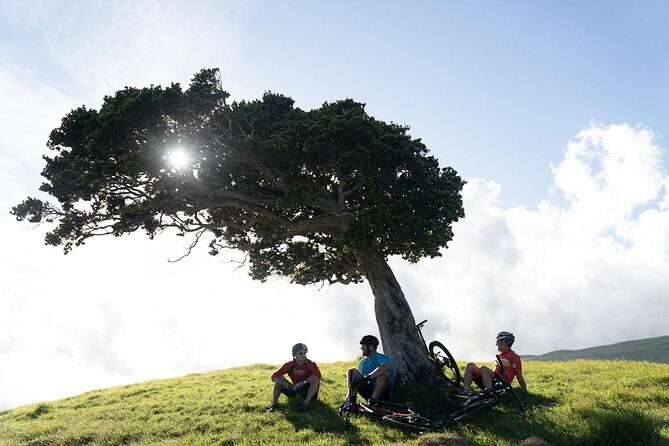 Big Island Mountain Biking on Anna Ranch - The Ride Back Down: Lava Rocks, Open Fields, and the Whoosh Factor