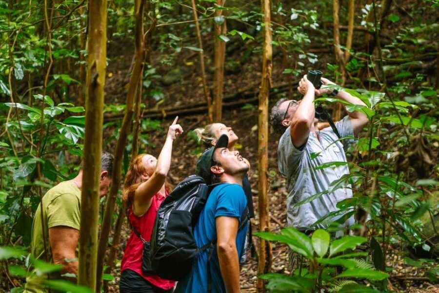 Big Island: Native Bird Watching & Hiking Tour - The 4WD Mercedes Sprinter rides: access without racing on foot