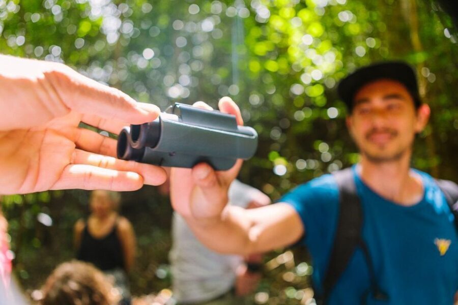 Big Island: Native Bird Watching & Hiking Tour - How the day flows: pickup, the long van stretch, then five focused hours in the refuge