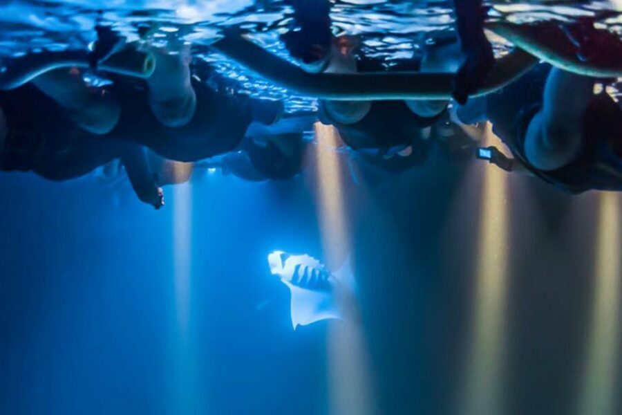 Big Island: Night Swim with Manta Ray with Hot Chocolate - Should You Book This Kona Night Swim With Manta Rays?