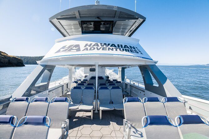 Big Island: Pelagic Whale Watch Tour - Kona whale watching that goes past the shoreline