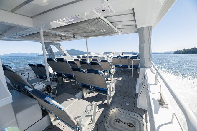 Big Island: Pelagic Whale Watch Tour - How the tour plays out on the water (without wasting time)