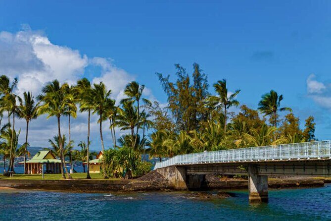 Big Island Scenic Tour: Volcano HiloTown Waterfalls Beach & Lunch - Rainbow Falls and banyans: classic Hilo beauty with photo-ready timing
