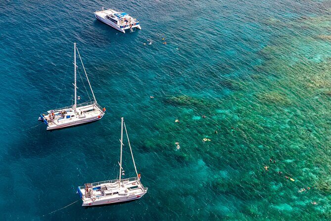 Big Island Snorkel Cruise from Waikoloa - Key things I’d plan around