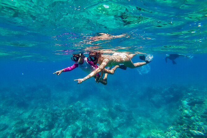 Big Island Snorkel Cruise from Waikoloa - Waikoloa to the boat: an easy start with a shuttle