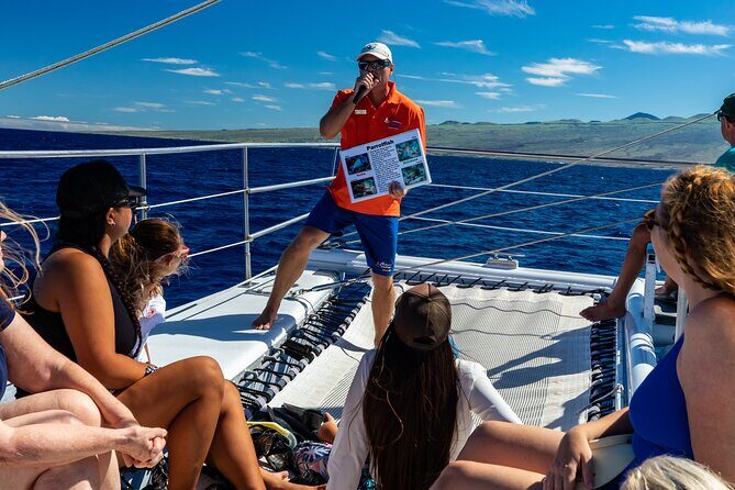 Big Island Snorkel Cruise from Waikoloa - Whale season effort (Dec–Mar): humpback spotting from the water