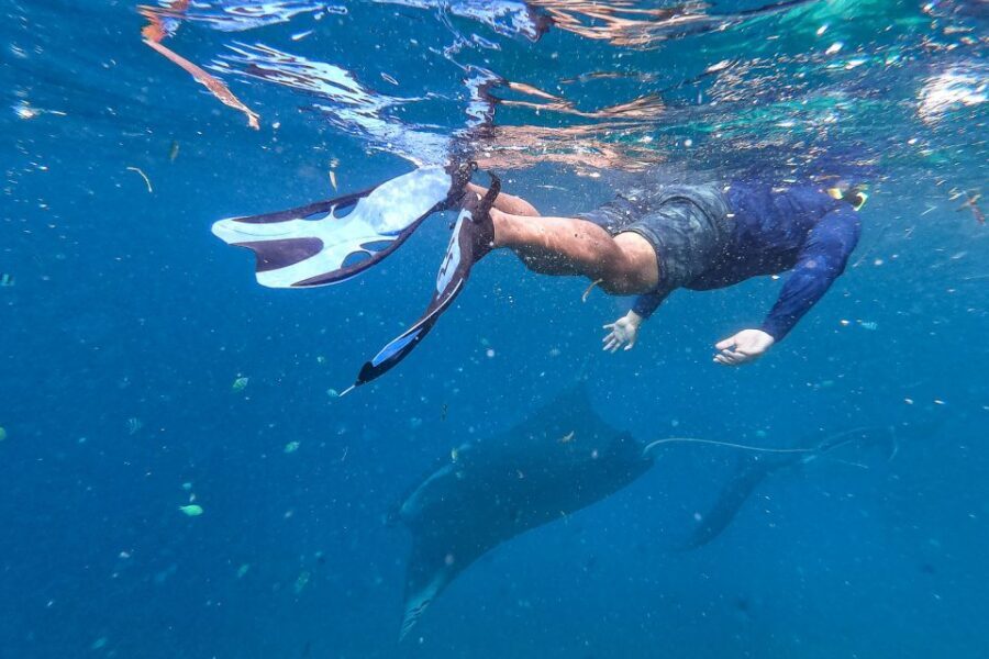Big Island: Snorkel with Manta Rays - Manta Guarantee - Who this tour fits best (and who should skip it)