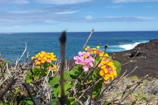 Big Island Southside ATV Tour - Paʻakea Bay Lunch: Shade, Snacks, and a Reset Button