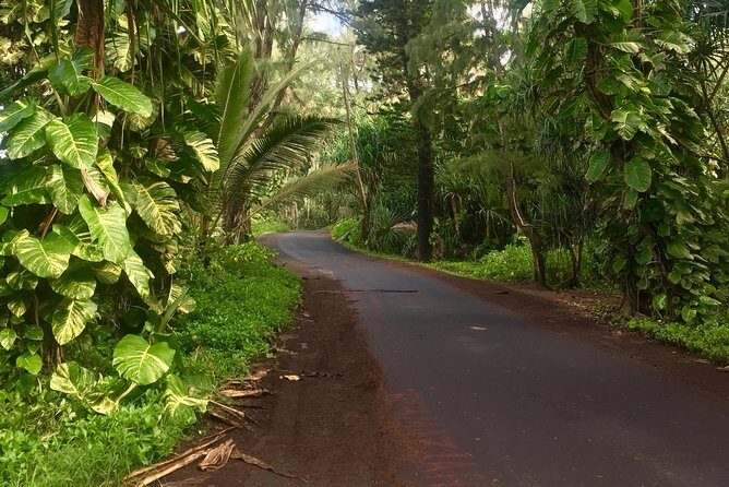 Big Island Volcano Adventure from Kona: Small Group - ʻAkaka Falls and the Hilo Backroads: Where You Feel the Rain and Water