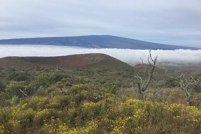 Big Island Volcano Adventure from Kona: Small Group - Lunch, Snacks, and the Local Food Stops That Keep the Day Fun
