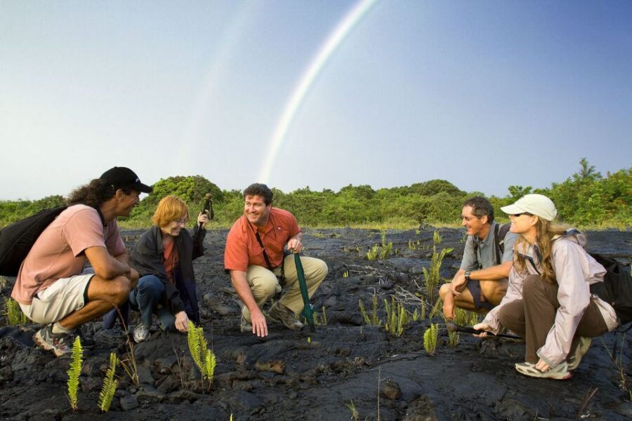 Big Island: Volcano, Chocolate & Waterfall Adventure - Pacing and Comfort: Who This Fits Best