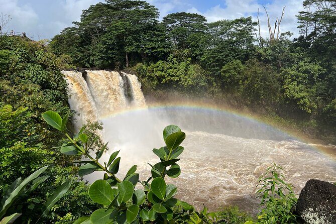 Big Island: Volcano, Waterfalls & Coffee Group Tour - Ka‘u Coffee Mill: learn how coffee fits into the island