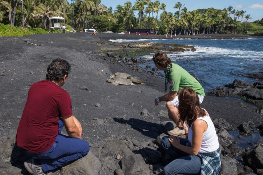 Big Island: Volcanoes, Waterfalls, & Coffee Farm Day-Trip - Akaka Falls State Park: Rainforest Footpath and Photo Stops