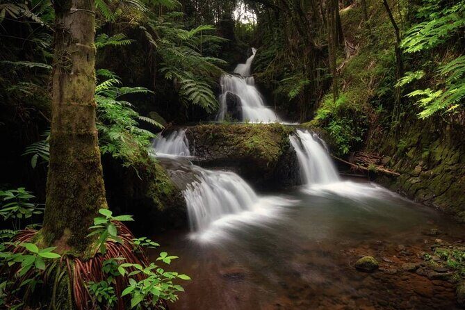 Big Island Waterfalls Tour with Swimming and Botanical Garden - Saddle Road Return: Mauna Kea and Mauna Loa on Your Route