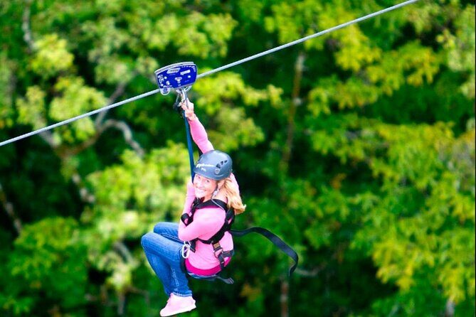 Big Island Zipline Tour Near Akaka Falls (250-ft Waterfall!) - Key things that make this tour worth your time
