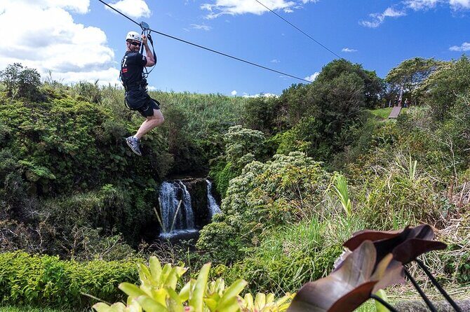 Big Island Zipline Tour Near Akaka Falls (250-ft Waterfall!) - The Course: 7 Lines That Start Simple and Get Serious