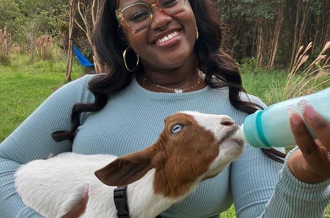 Bottle Feed & Cuddle Baby Goats at Ohana Ranch (Big Island) - Photo time, island views, and why the pace is part of the value