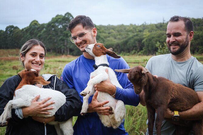 Bottle Feed & Cuddle Baby Goats at Ohana Ranch (Big Island) - Who should book this goat cuddle tour (and who should think twice)