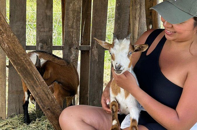 Bottle Feed & Cuddle Baby Goats at Ohana Ranch (Big Island) - Practical tips for a smooth visit at Ohana Ranch