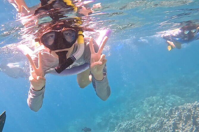 Captain Cook Reef Snorkeling of Kealakekua Bay - Stop at Kealakekua Bay: Reef Time Plus Captain Cook Area Storytelling
