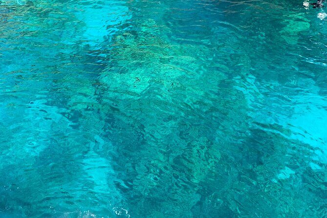 Captain Cook Reef Snorkeling of Kealakekua Bay - Who This Tour Fits Best (and Who Should Think Twice)