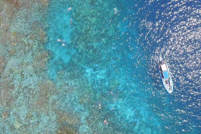 Captain Cook Snorkel Tour with Sea Caves and Lava Tubes - Price and value: is $89 a good deal for Kona snorkeling?