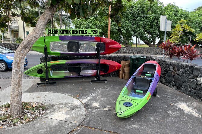 Clear Bottom Kayak Rentals in Kailua-Kona - Key Things You’ll Notice on a Clear-Bottom Kayak Rental