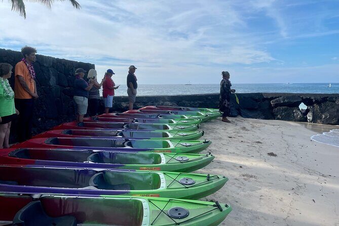 Clear Bottom Kayak Rentals in Kailua-Kona - Price and Value: What $27.50 Per Person Really Buys