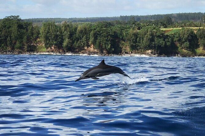 Cliff's of Hawai'i Onomea Waterfall Cruise - Transportation, Motion, and Timing: What Your Body Should Expect