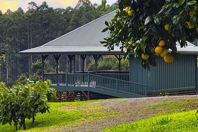 Craft Chocolate Tasting and Farm Experience on the Big Island - Tasting Like Wine: Single-Origin Chocolate, Genetics, and Environment