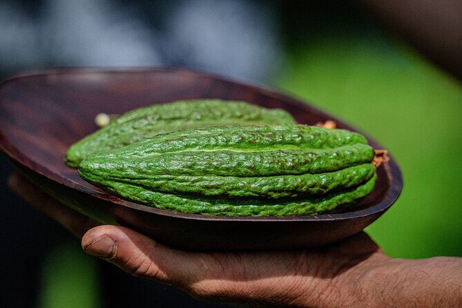 Craft Chocolate Tasting and Farm Experience on the Big Island - Price and Value: What $135 Really Buys on the Hilo Side