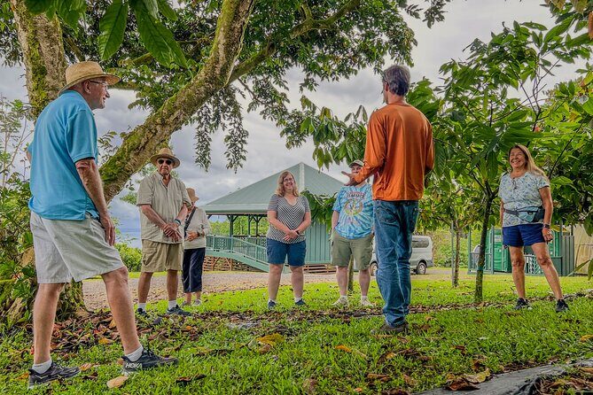 Craft Chocolate Tasting and Farm Experience on the Big Island - Who This Tour Fits Best (and Who Might Want a Different Option)