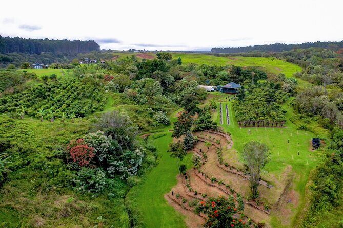 Craft Chocolate Tasting and Farm Experience on the Big Island - Should You Book Craft Chocolate Tasting and Farm Experience on the Big Island?