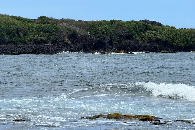 Cruise Ship Favorite Hilo Excursion Volcanoes and Akaka Falls - Stop 1: Akaka Falls State Park and the 0.4-Mile Loop