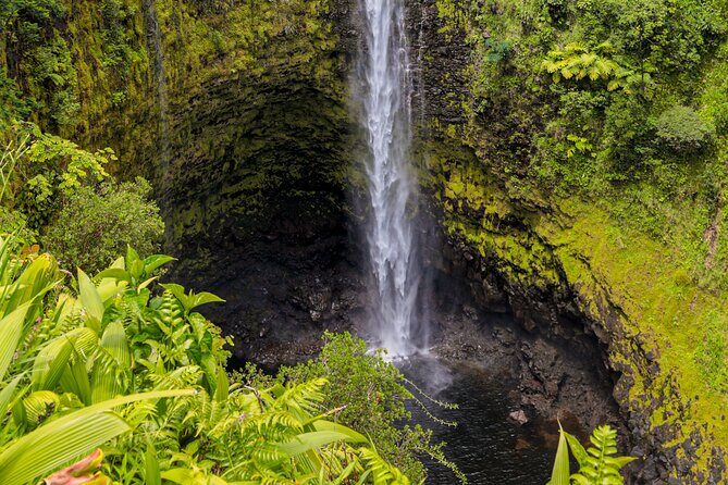 Cruise Ship Favorite Hilo Excursion Volcanoes and Akaka Falls - The Tour’s Practical Rhythm: How It Stays Comfortable for 7 to 8 Hours