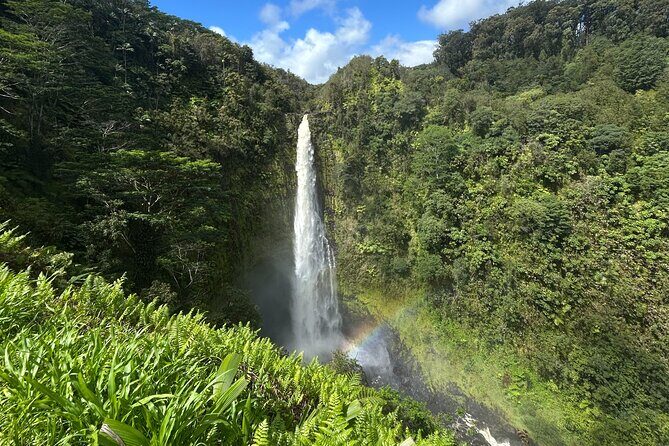 Cruise Ship Favorite Hilo Excursion Volcanoes and Akaka Falls - Start Time, Meeting Point, and Why a Cruise Morning Needs Discipline