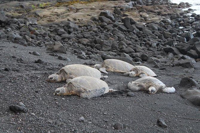 Custom Volcanoes National Park Tour with extra stops - A Private 7-Hour Volcano Day, Not a One-Size Itinerary