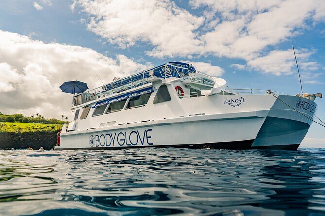 Deluxe Snorkel & Dolphin Watch Aboard a Luxury Catamaran from Kailua-Kona - Two Hours of Snorkeling: Gear, Safety, and What to Expect in Red Hill