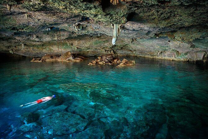 Dolphin, Sea Cave, Captain Cook, Kealakekua Bay Reef Snorkeling - Key things to know before you go