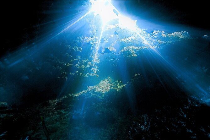 Dolphin, Sea Cave, Captain Cook, Kealakekua Bay Reef Snorkeling - What’s included at $89: where the value really comes from
