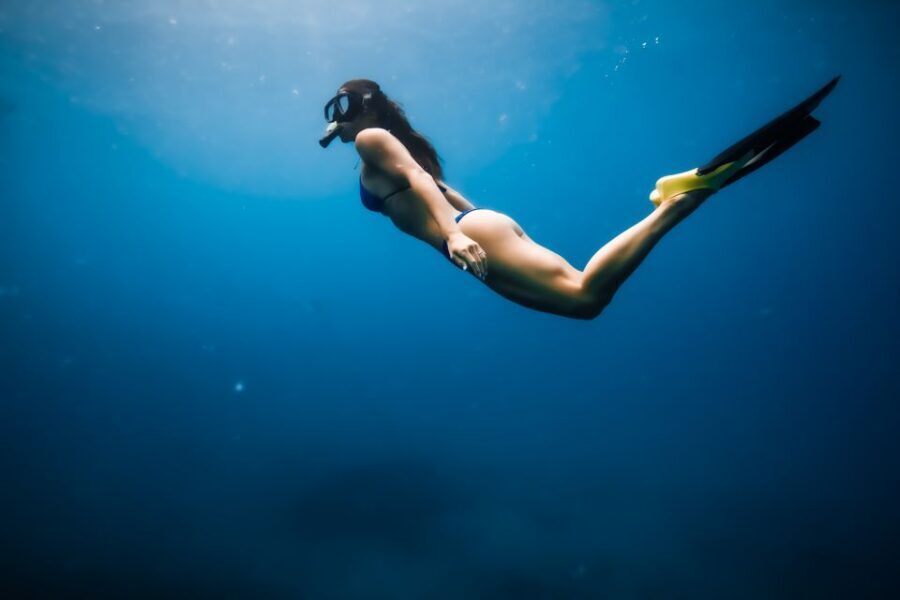 Dolphin Watch Snorkel and BBQ in Kona, Big Island - The 3-hour flow: dolphins, snorkel spots, then lunch onboard